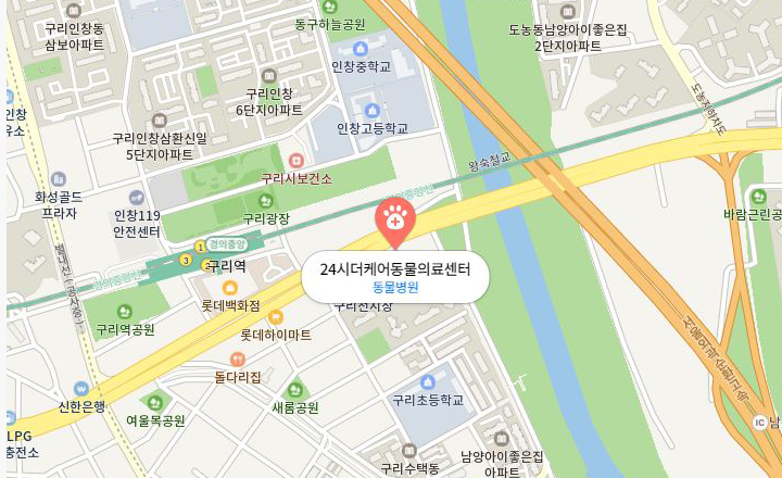 맵