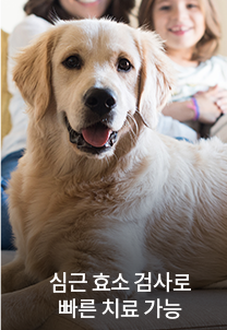 심근 효소 검사로 빠른 치료 가능