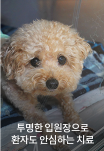 투명한 입원장으로 환자도 안심하는 치료
