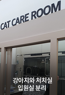 강아지와 처치실 입원실 분리 
