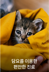 담요를 이용한 편안한 진료