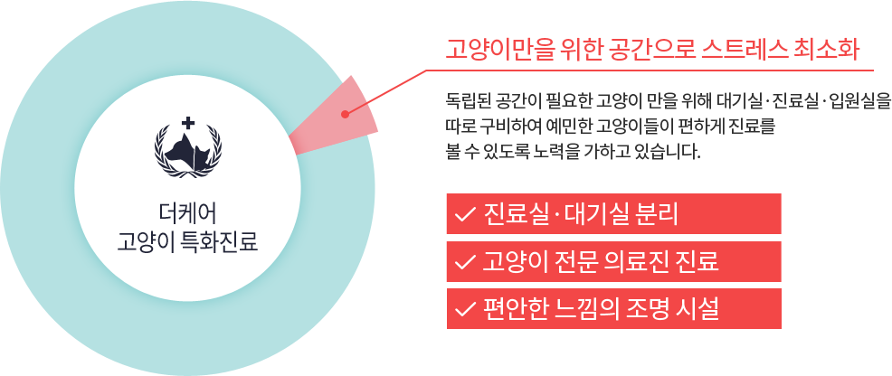 고양이만을 위한 공간으로 스트레스 최소화 독립된 공간이 필요한 고양이 만을 위해 대기실·진료실·입원실을 따로 구비하여 예민한 고양이들이 편하게 진료를 볼 수 있도록 노력을 가하고 있습니다. 진료실·대기실 분리 고양이 전문 의료진 진료 편안한 느낌의 조명 시설