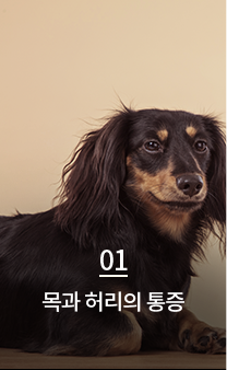 목과 허리의 통증
