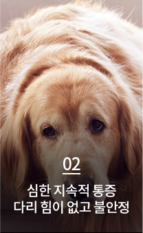심한 지속적 통증 다리 힘이 없고 불안정