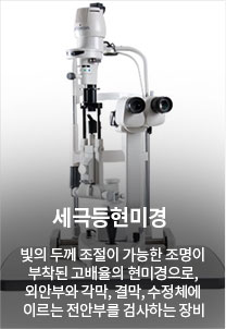 세극등현미경 빛의 두께 조절이 가능한 조명이 부착된 고배율의 현미경으로, 외안부와 각막, 결막, 수정체에 이르는 전안부를 검사하는 장비