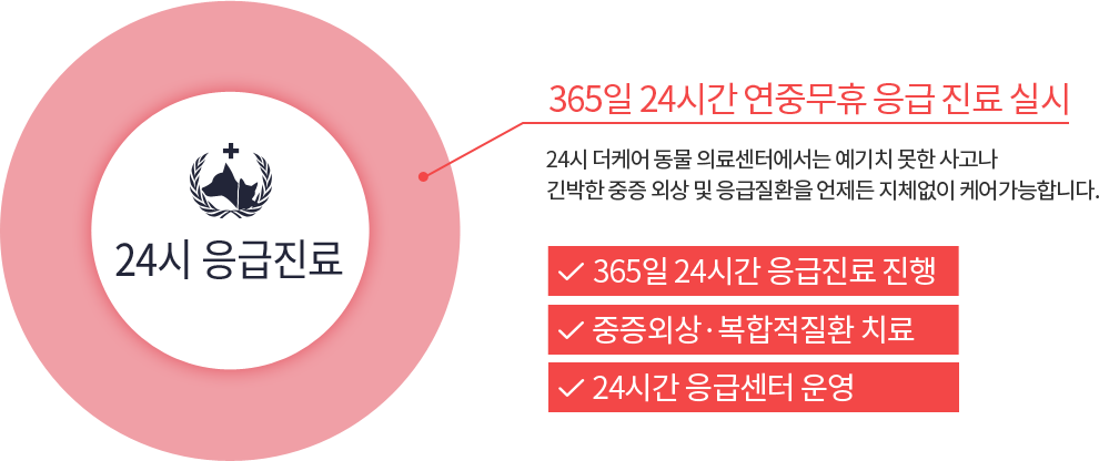 48시간 이내에 one-stop!  더케어에서는 골든타임(48시간)이 중요한 척추 손상을 진단부터 수술, 이후 관리까지 모든 과정을 one-stop로 진행할 수 있습니다. 최신형 장비로 정확한 진단 높은 수술 성공률 24시간 응급센터 운영 
